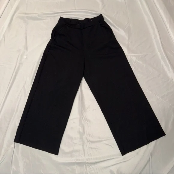Banana Republic | Pants & Jumpsuits | Banana Republic Womens Pleated Wide  Leg Dress Pants Size S Black High Rise | Poshmark